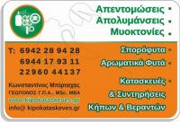birtaxaskostas.jpg_product_product