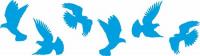 birds.jpg